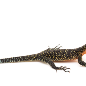 Peach Throat Monitor